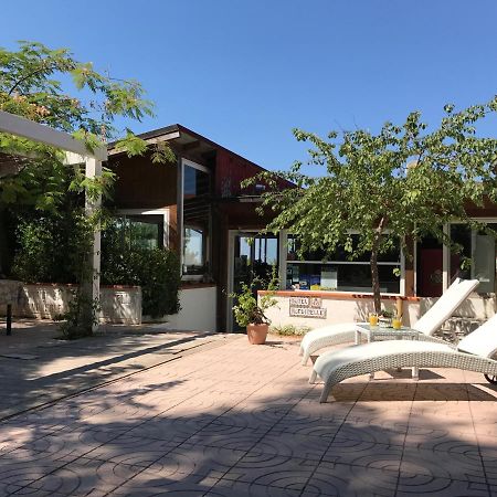 B&B Rondinelle Isla de Isla de San Domino Zewnętrze zdjęcie
