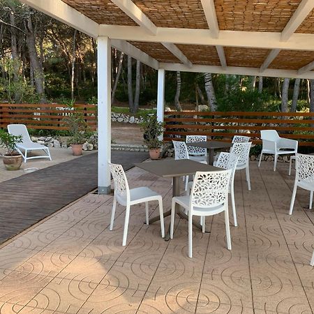 B&B Rondinelle Isla de Isla de San Domino Zewnętrze zdjęcie